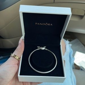 Silver Pandora Bangle